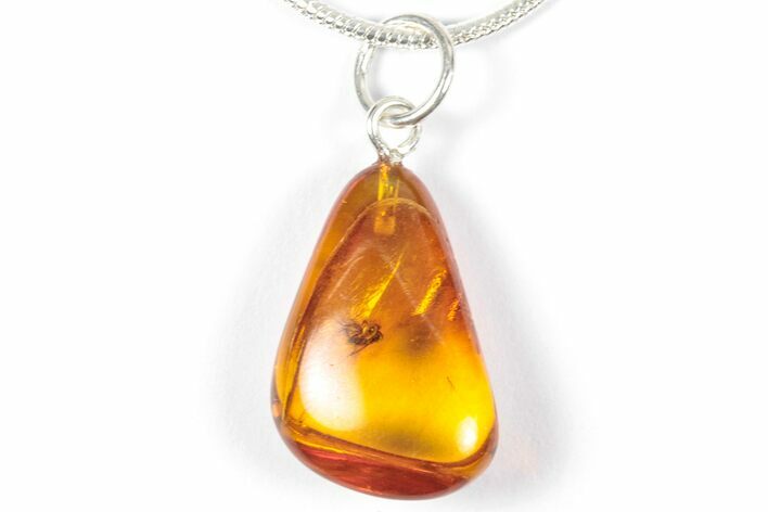 Polished Baltic Amber Pendant (Necklace) - Contains Fly! #357971